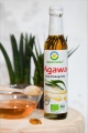 Syrop z agawy 350 g.jpeg